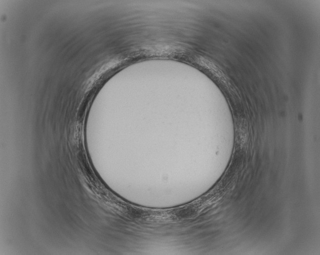 X0000062870583200602101654