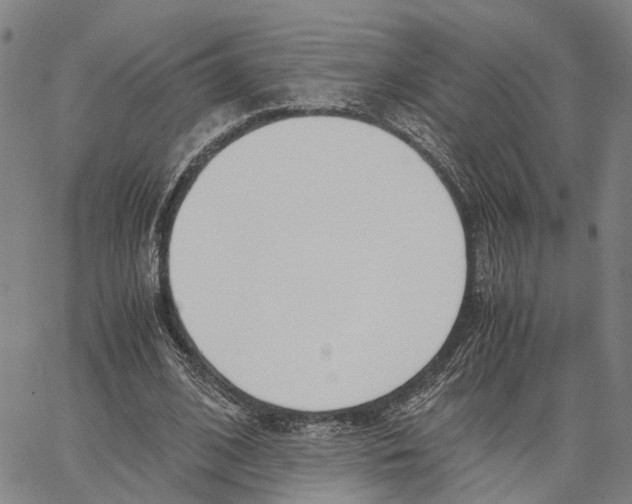 X0000062870584200602101654