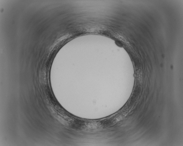 X0000062870587200602101653