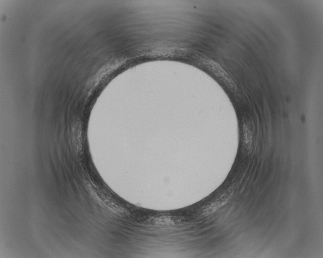 X0000062870588200602101653