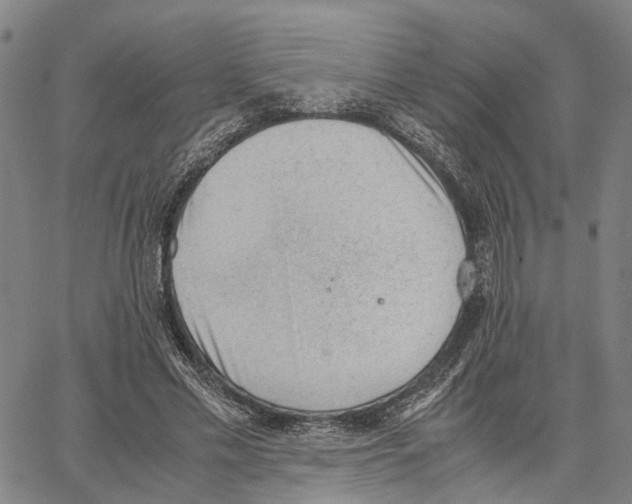 X0000062870589200602101653