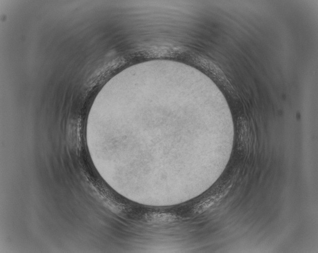 X0000062870590200602101653