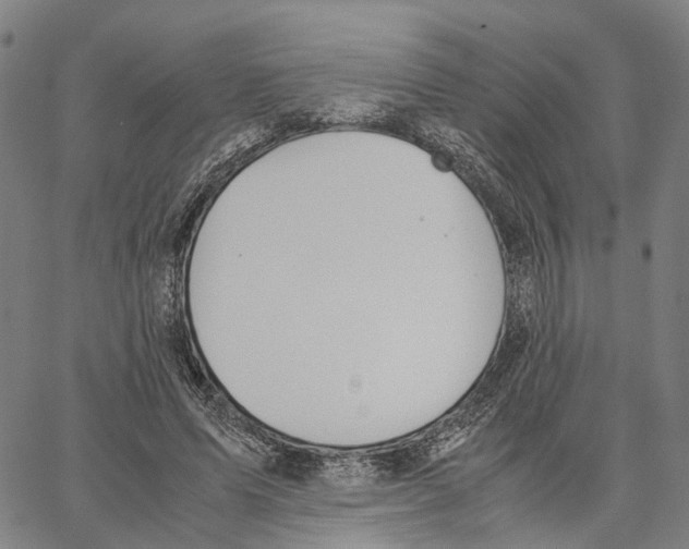 X0000062870591200602101653