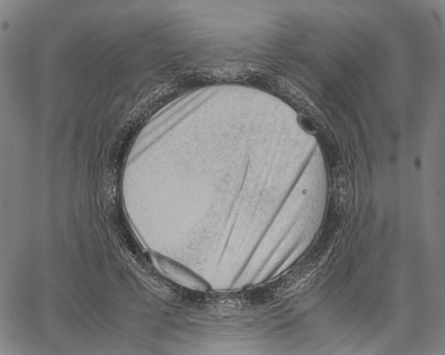 X0000062870593200602101653