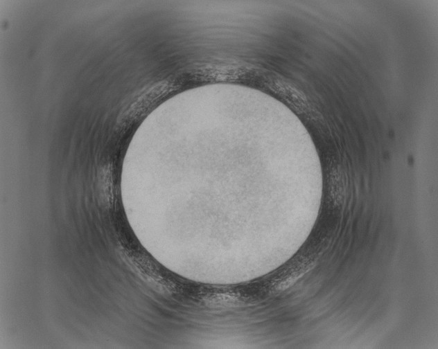 X0000062870594200602101653