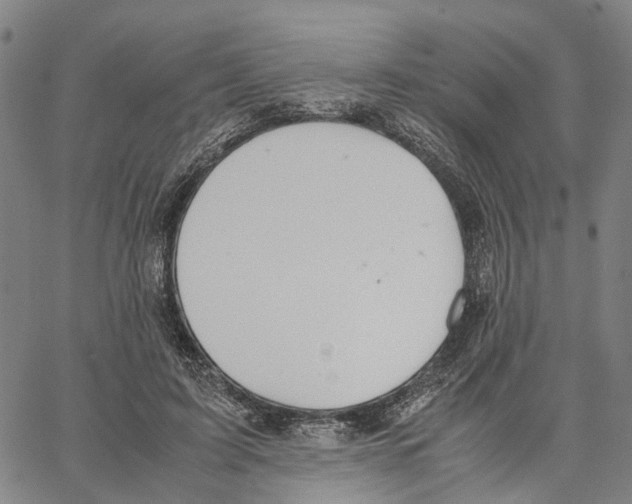 X0000062870595200602101653