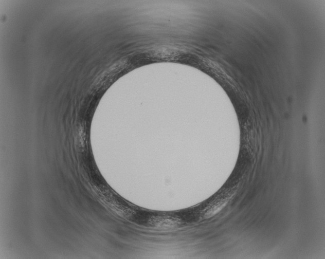 X0000062870597200602101653