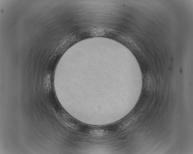 X0000062870598200602101653