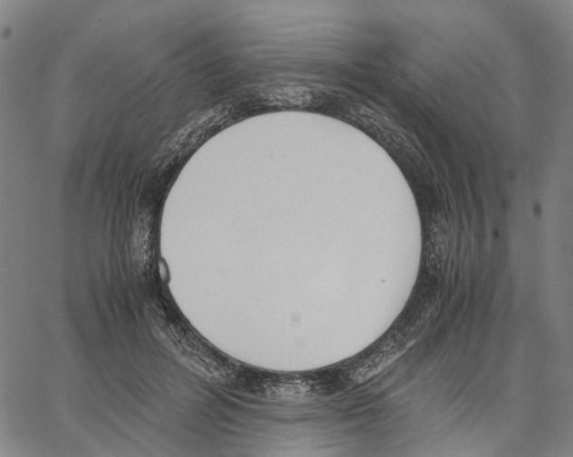 X0000062870600200602101653