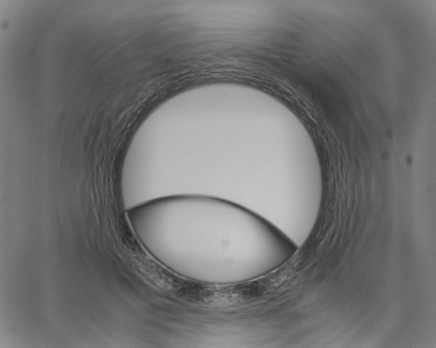 X0000062870601200602101653