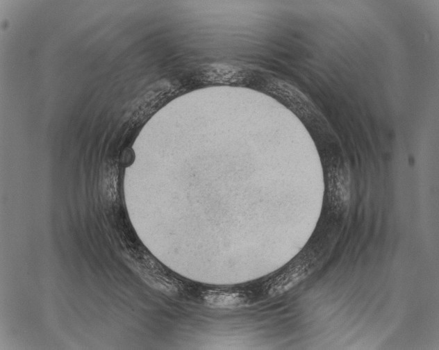 X0000062870602200602101653