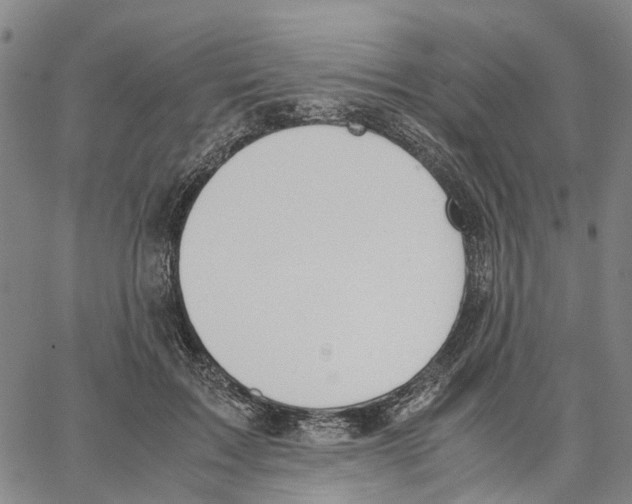 X0000062870603200602101653