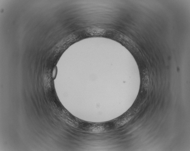 X0000062870604200602101653