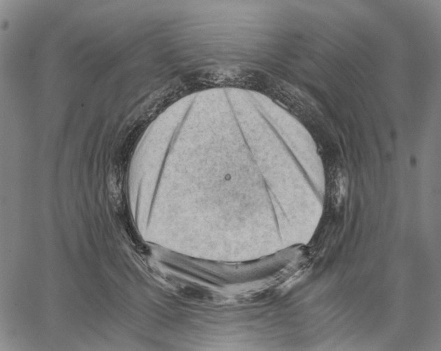 X0000062870607200602101653