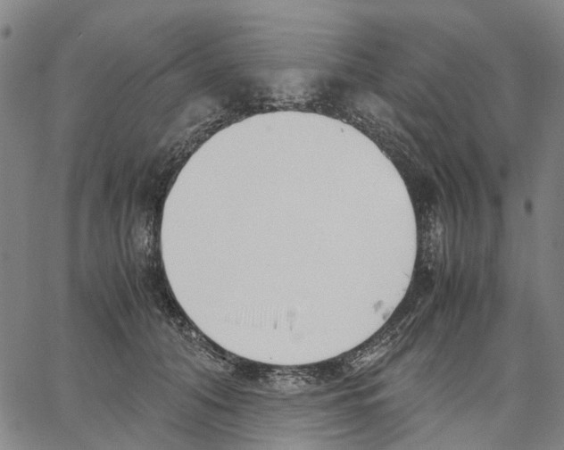 X0000062870608200602101653