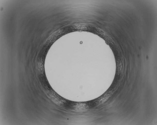 X0000062870609200602101653