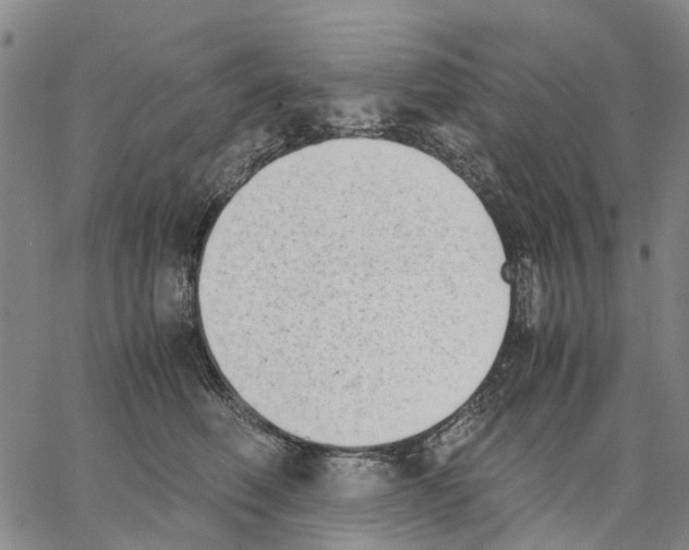 X0000062870614200602101653