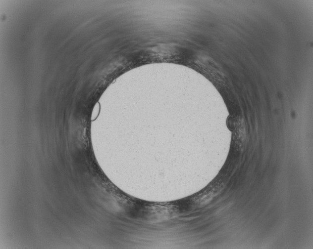 X0000062870615200602101653