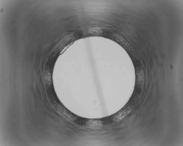 X0000062870617200602101653