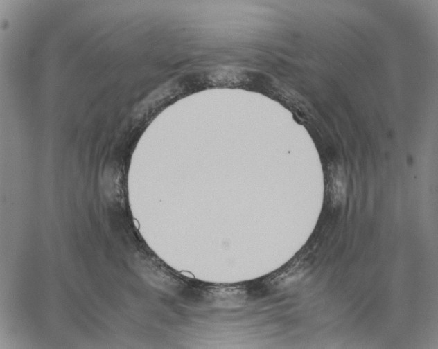 X0000062870619200602101653