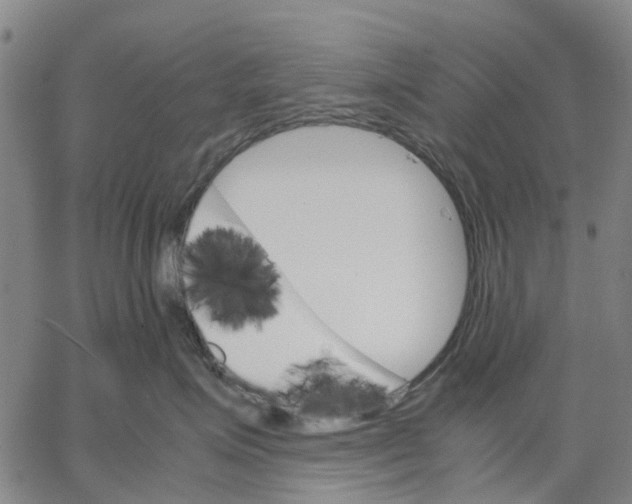 X0000062870623200602101653