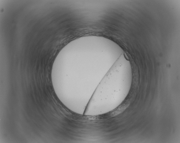 X0000062870624200602101653