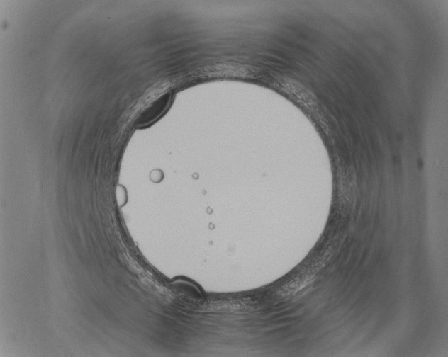 X0000062870625200602101652