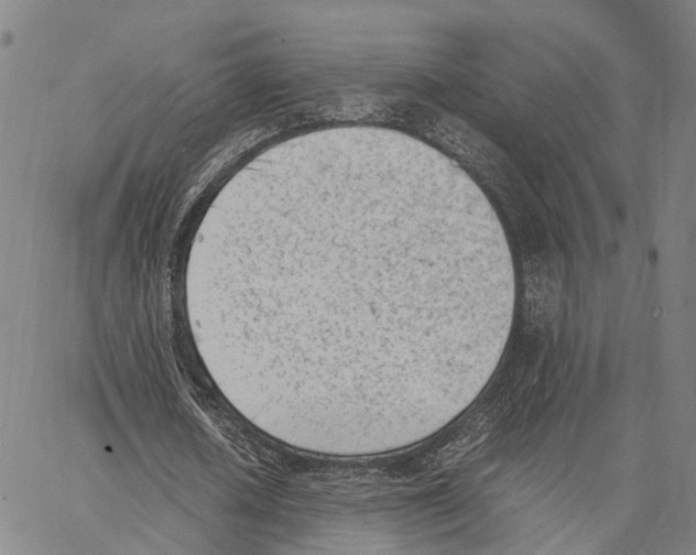 X0000062870626200602101652