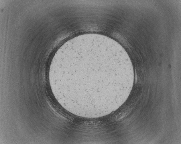 X0000062870627200602101652