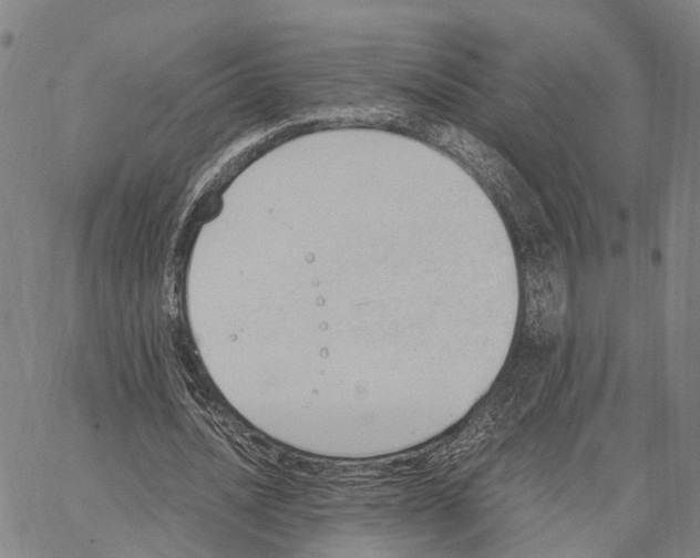 X0000062870628200602101652