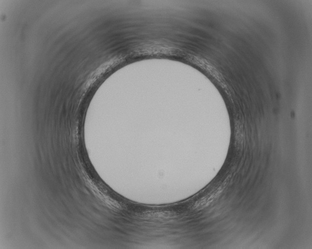 X0000062870629200602101652