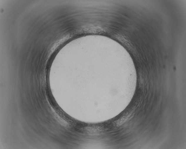 X0000062870630200602101652