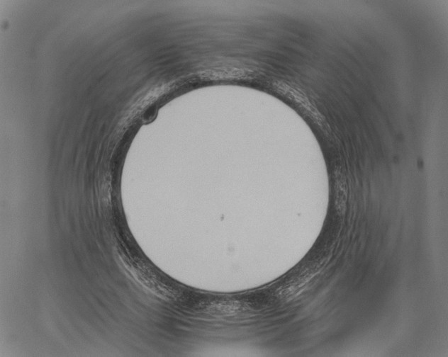 X0000062870631200602101652