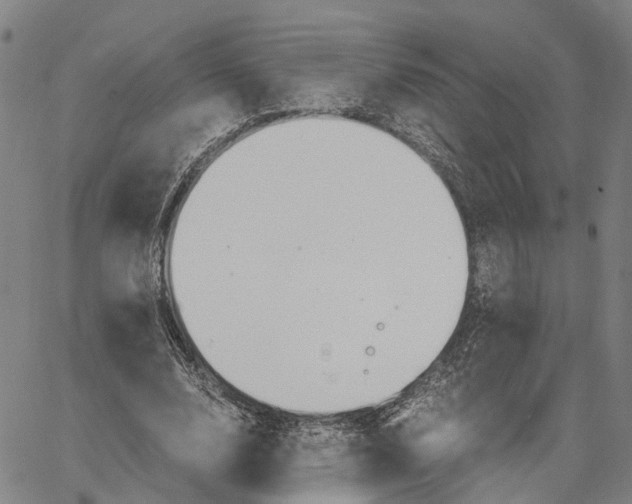 X0000062870632200602101652