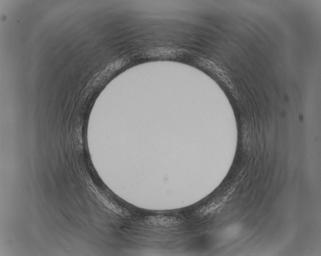 X0000062870633200602101652