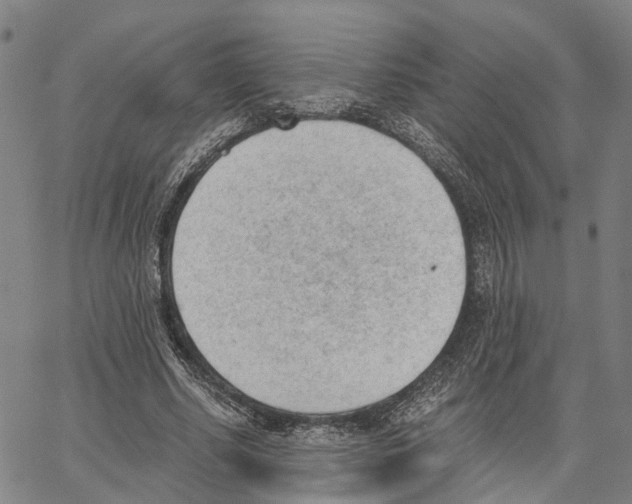 X0000062870634200602101652