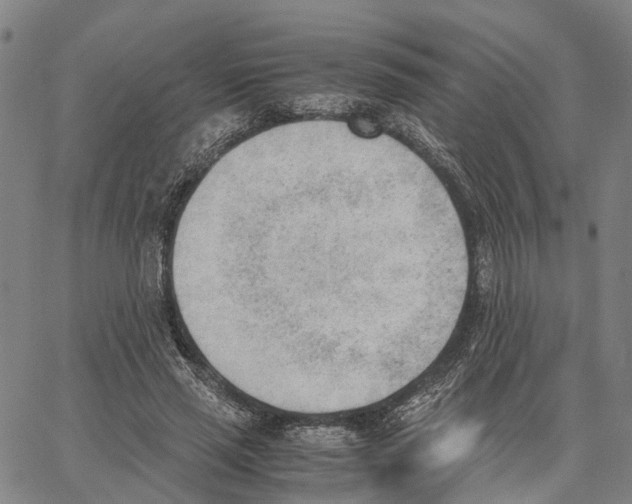 X0000062870637200602101652