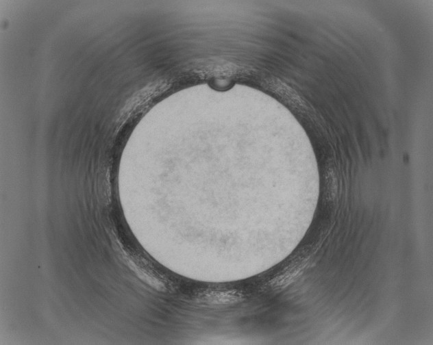 X0000062870638200602101652