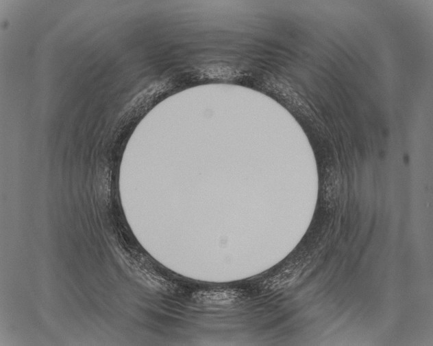 X0000062870639200602101652