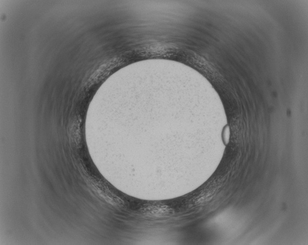 X0000062870642200602101652