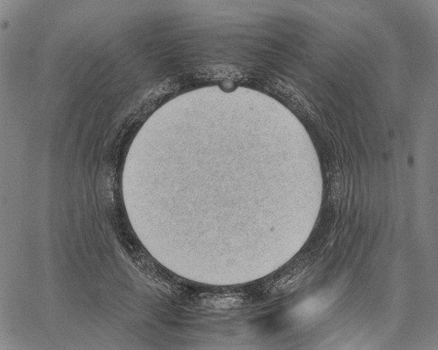 X0000062870643200602101652