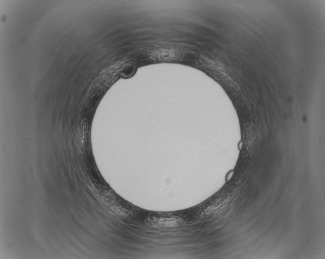 X0000062870645200602101652