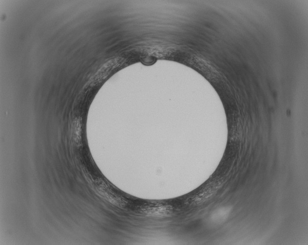 X0000062870646200602101652