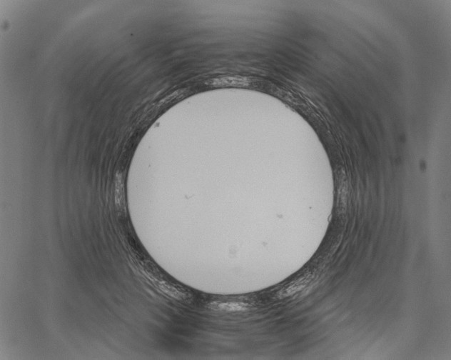 X0000062870649200602101652