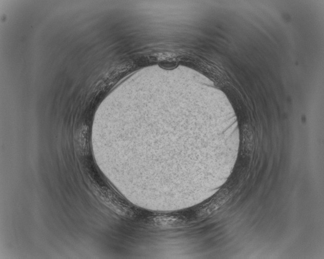 X0000062870650200602101653