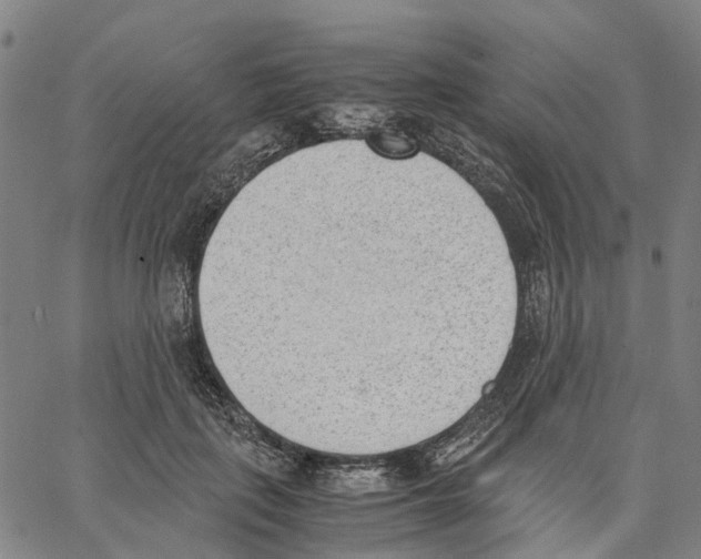 X0000062870651200602101653