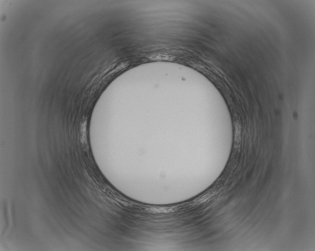 X0000062870652200602101653