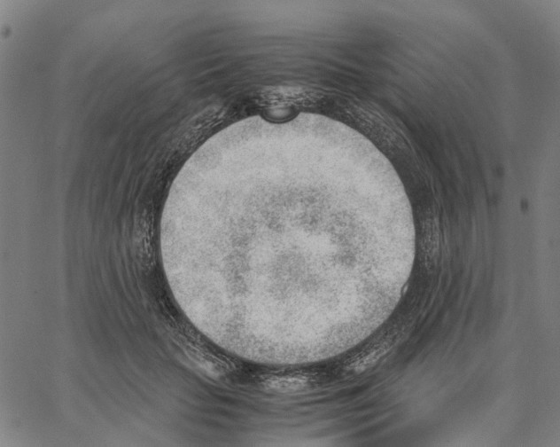 X0000062870653200602101653