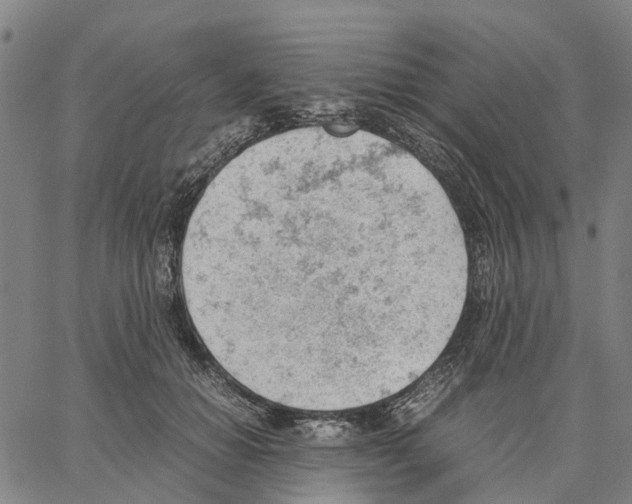 X0000062870654200602101653