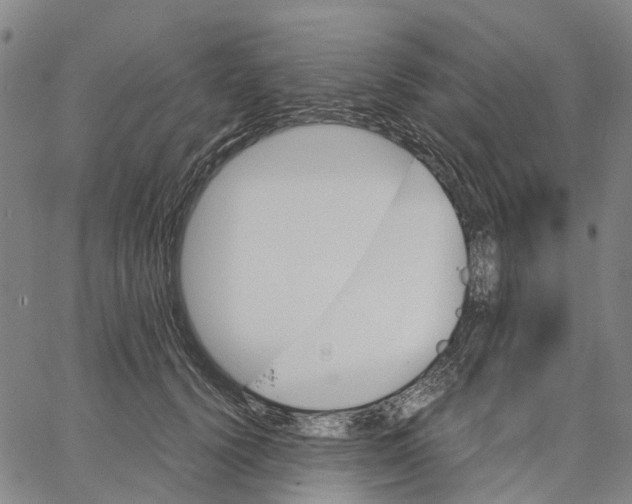 X0000062870656200602101653